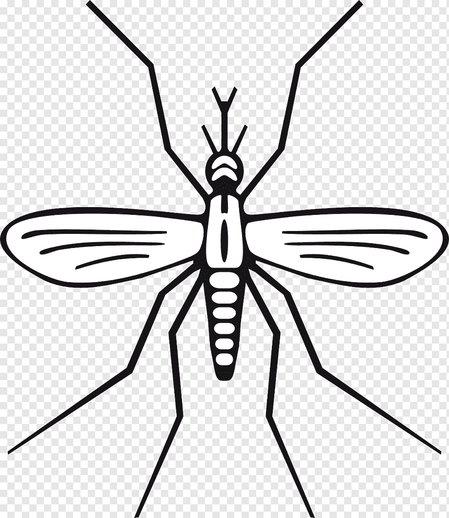 Комар раскраска