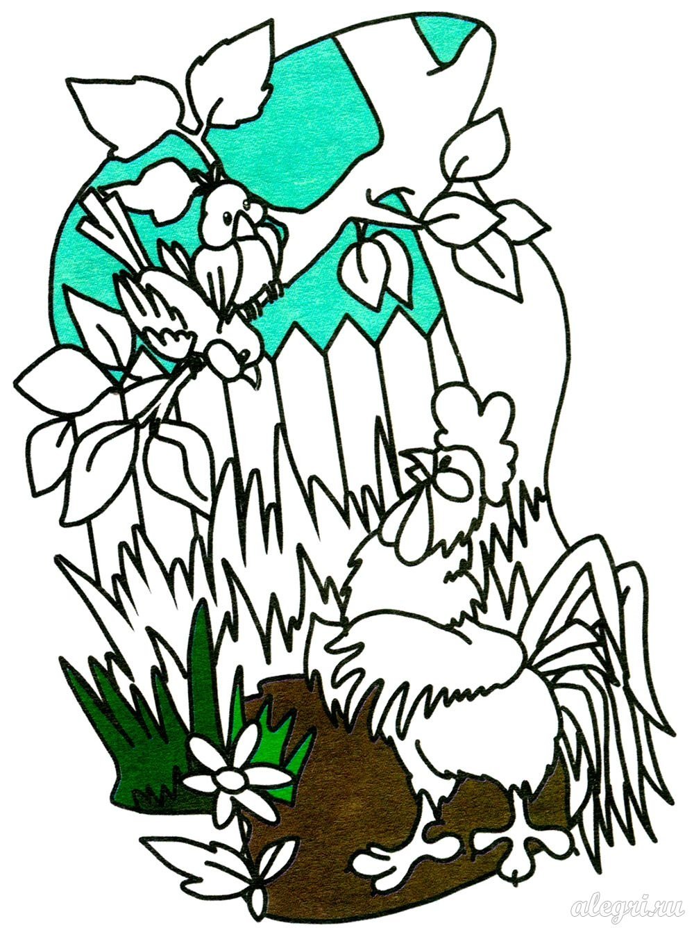 Кукушка и петух раскраска