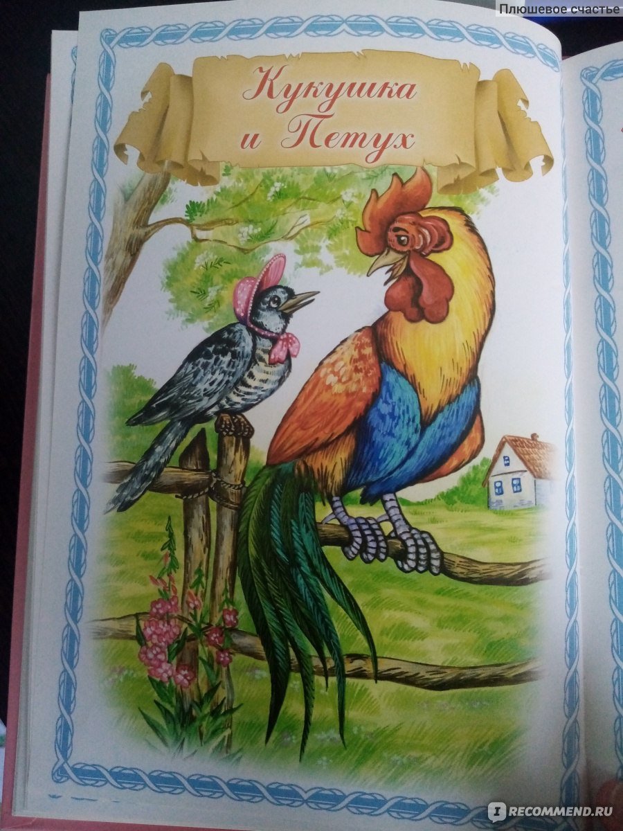 Петушок золотой гребешок