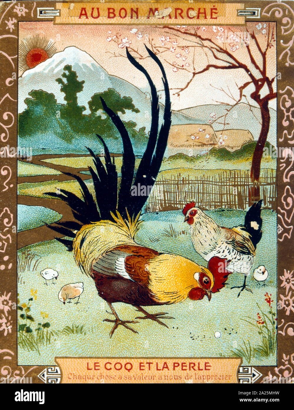 Кукушка и петух басня