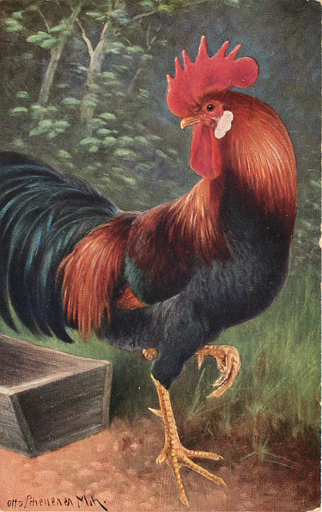 Стиль бедного петуха арт