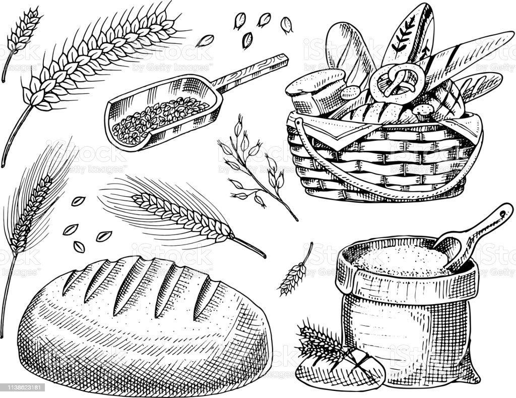 Раскраска пшеница и хлеб