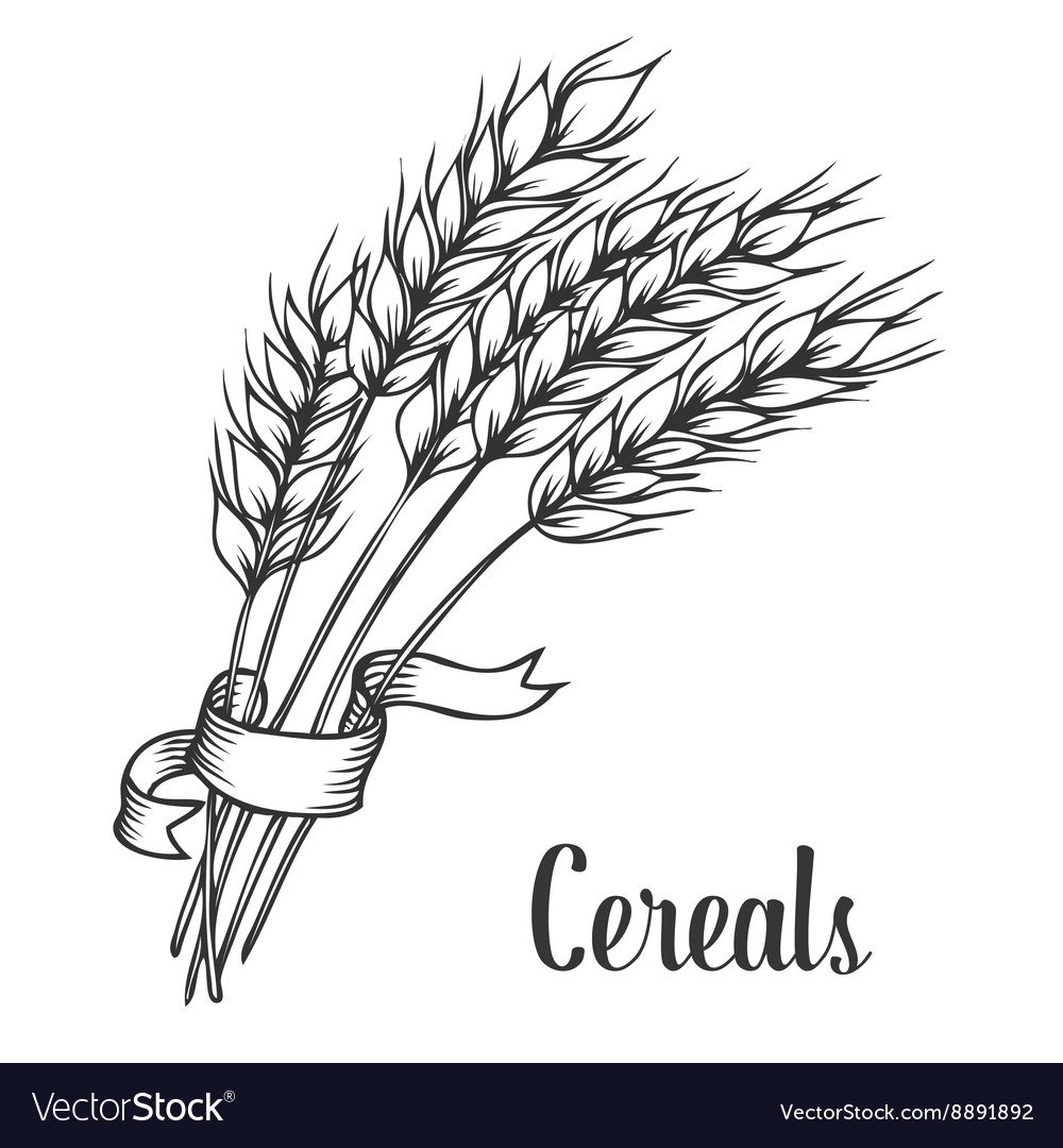 Колосок раскраска