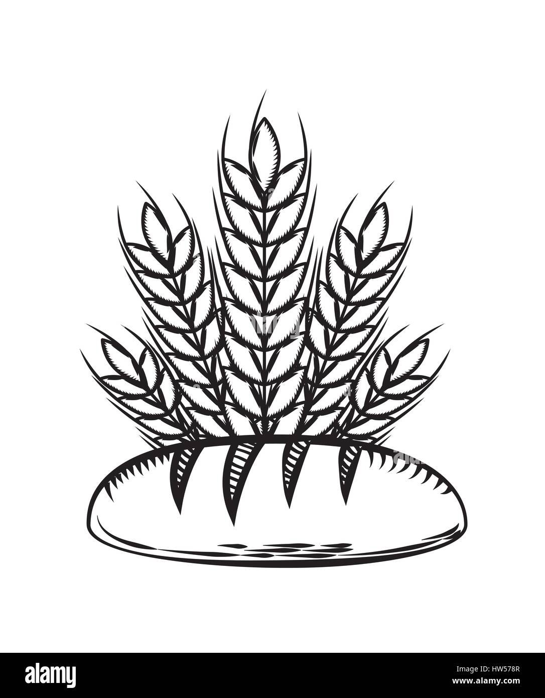 Раскраска колосья хлеба