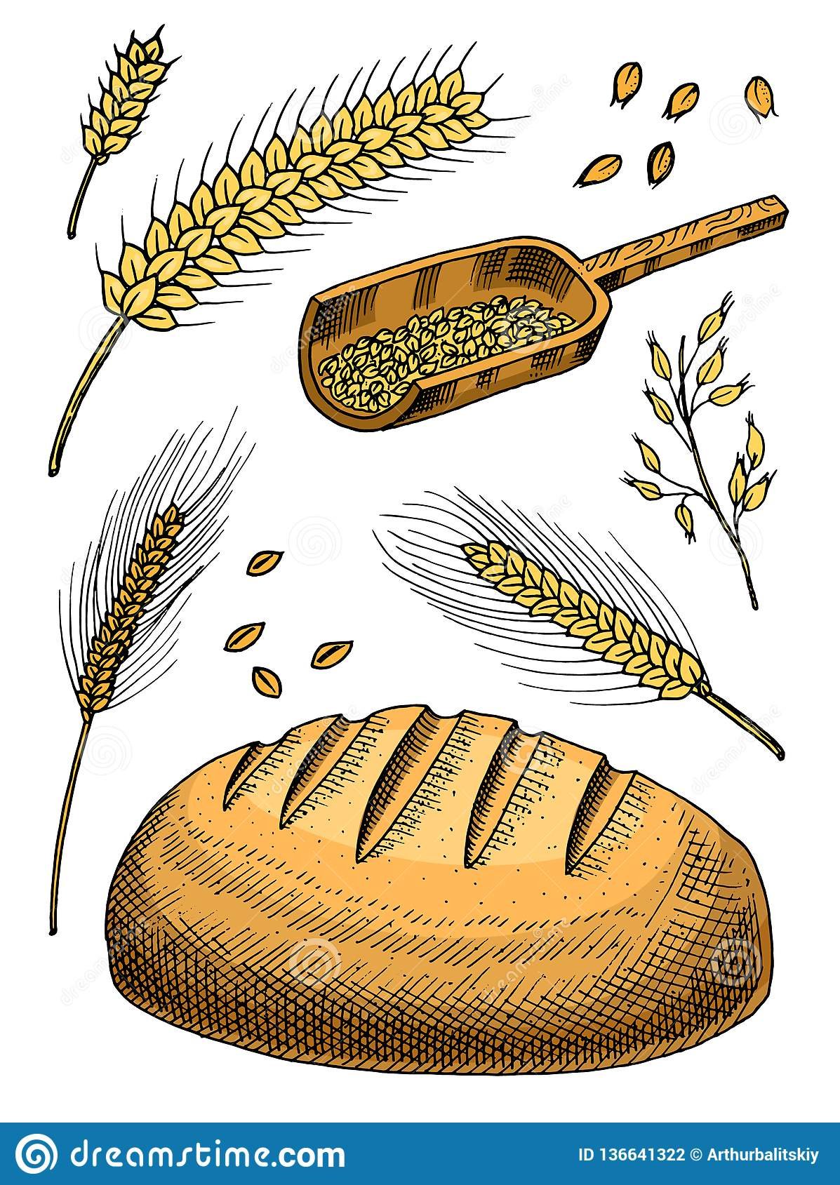 Злаки хлеб рисование