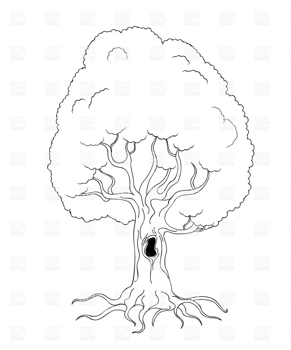 Белка раскраска для детей