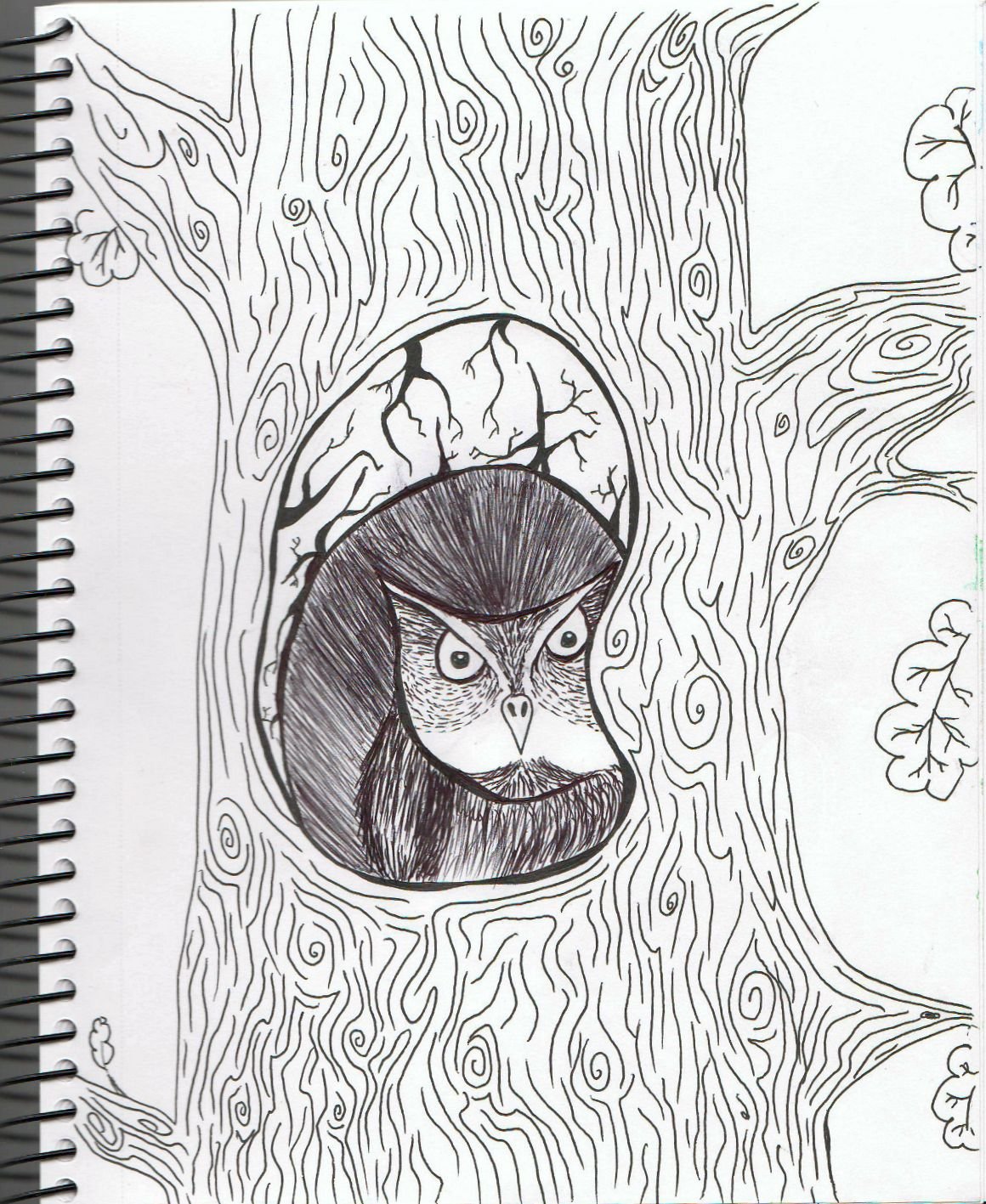 Раскраска Белочка