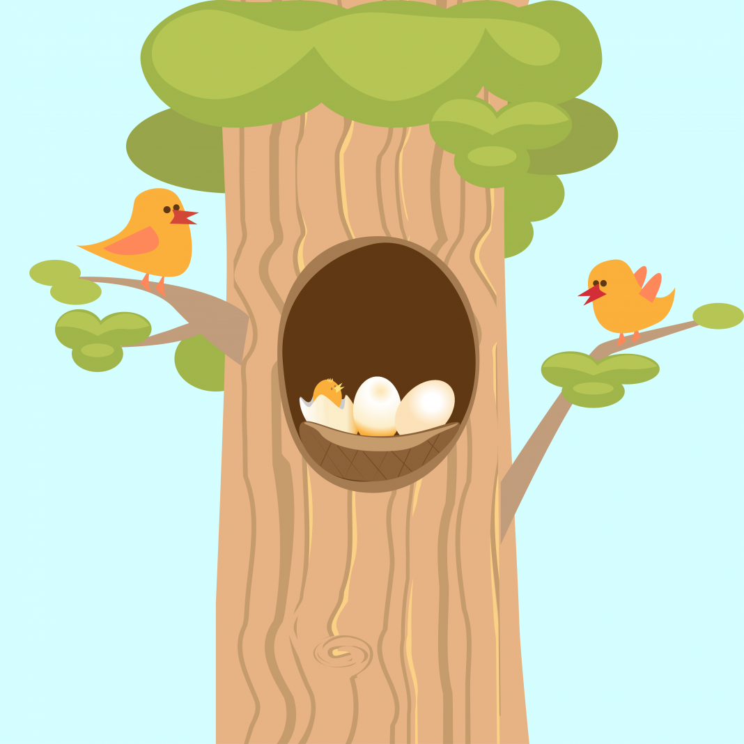 Белочка раскраска для детей