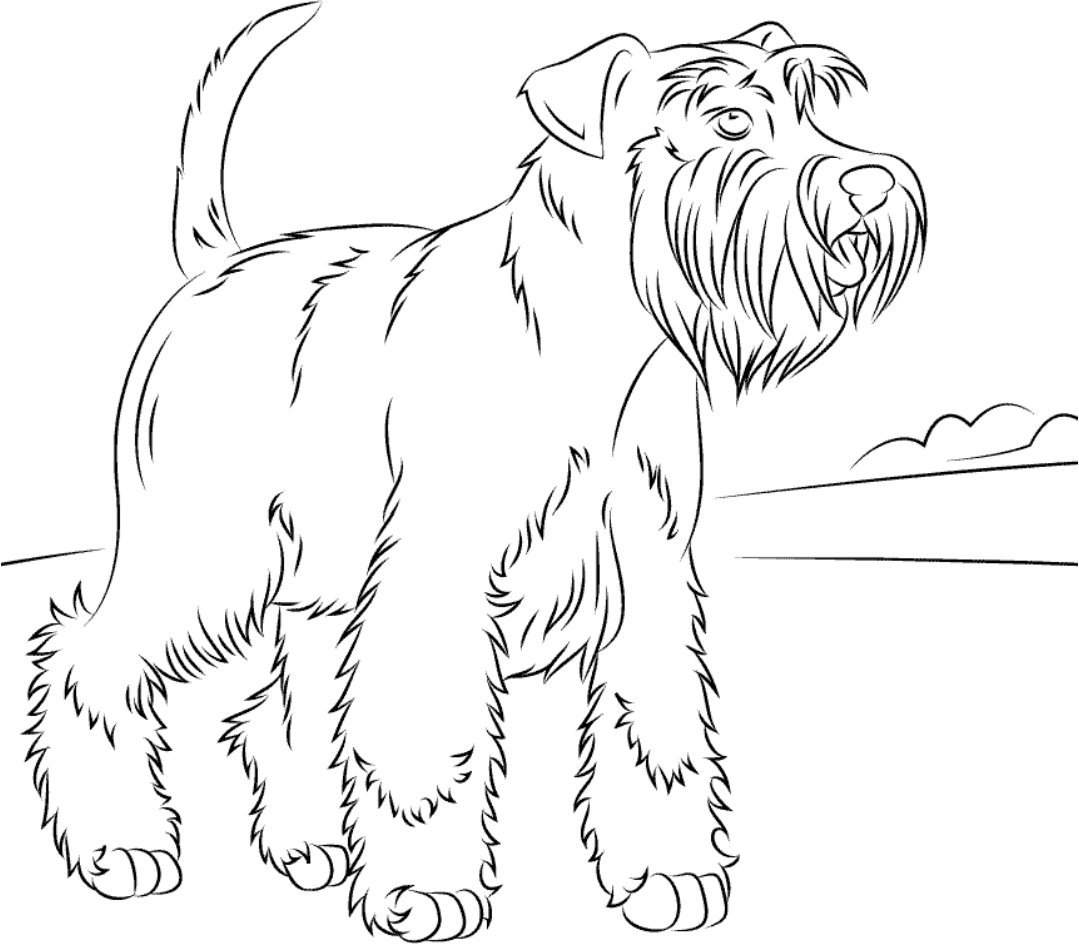 Раскраска барбос и жулька