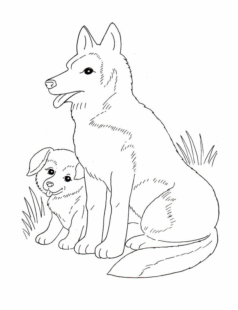 Раскраска собачка