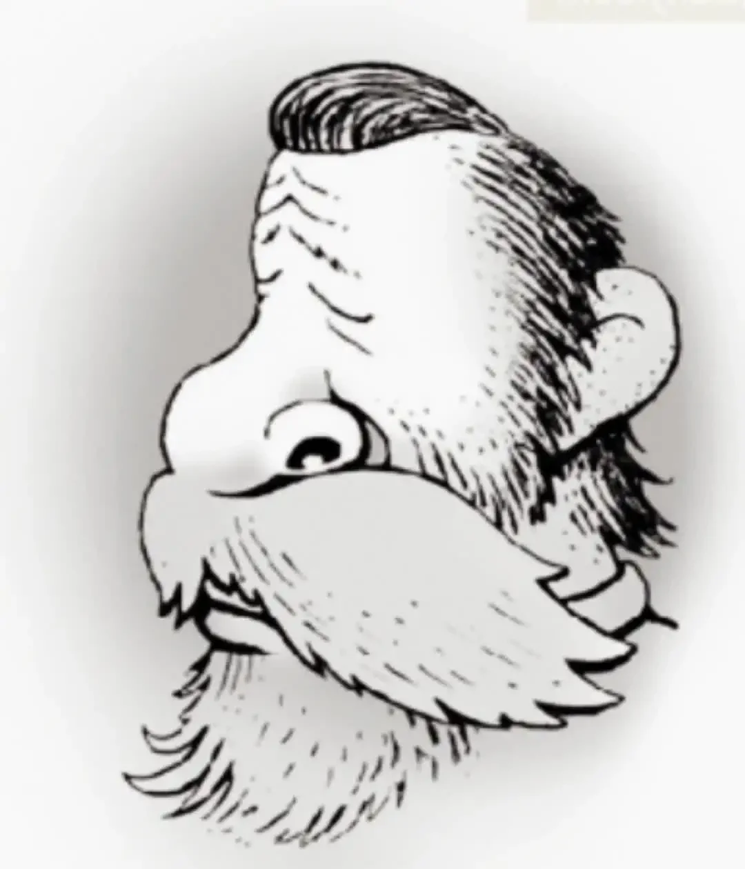 Оптические иллюзии перевертыши