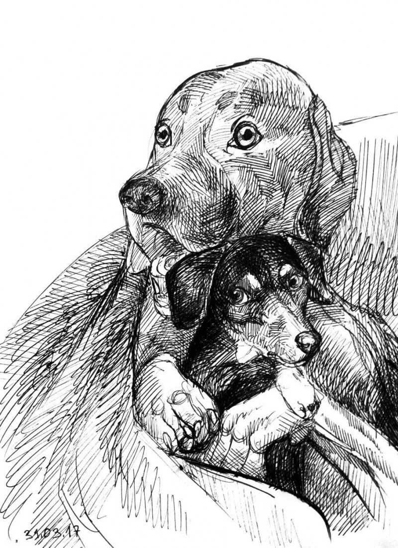 Куприн Барбос и Жулька