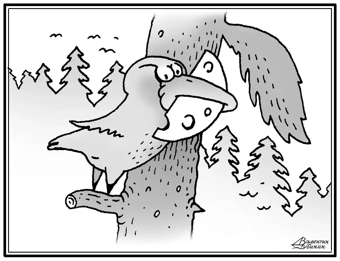 Раскраска перевертыш