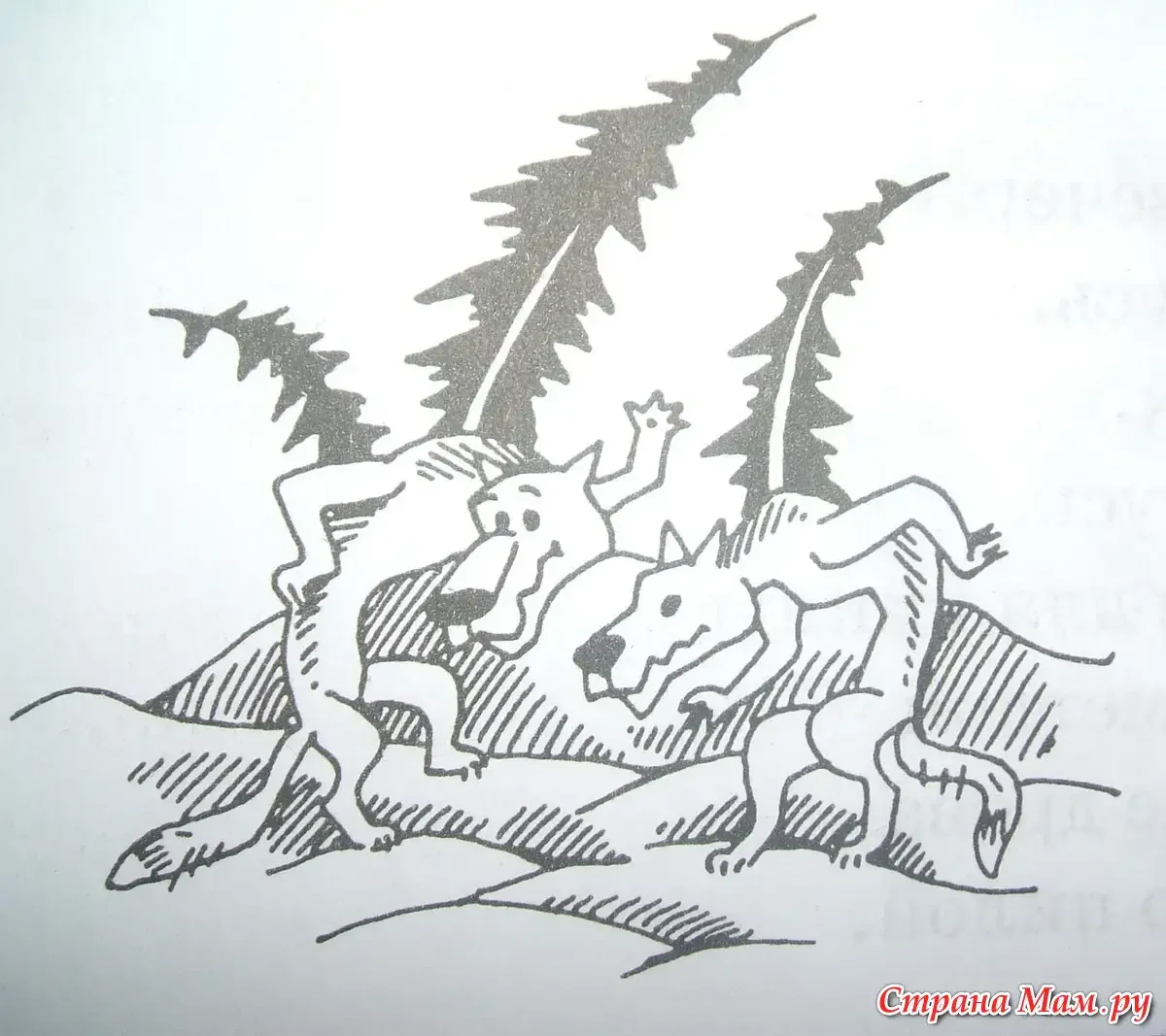 Портрет перевертыш