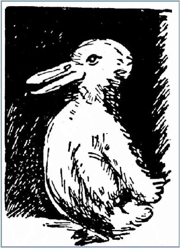 Книга сказочные Единороги