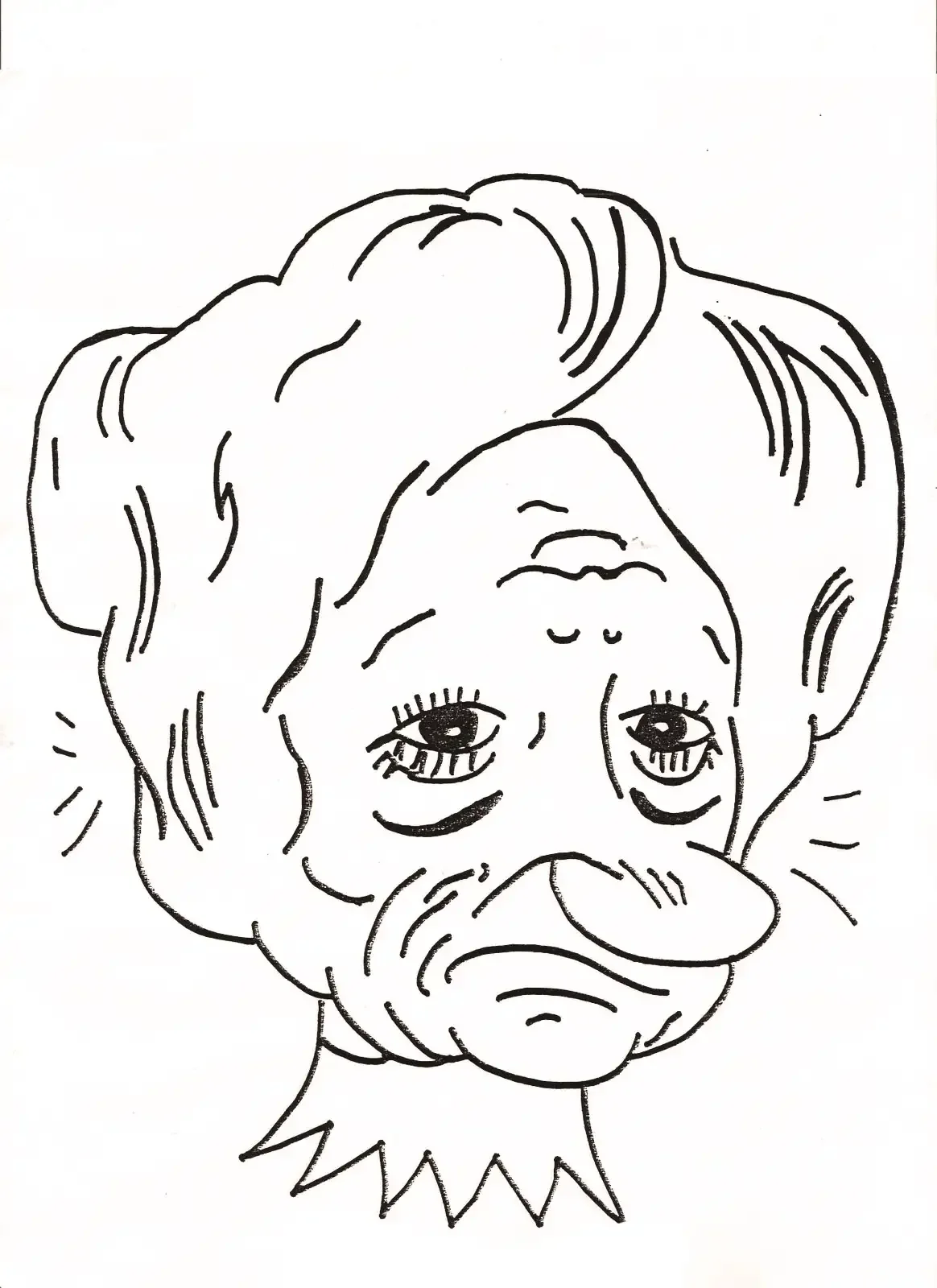 Лицо перевертыш