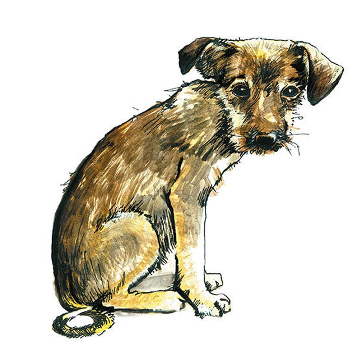 Судак рыба малек