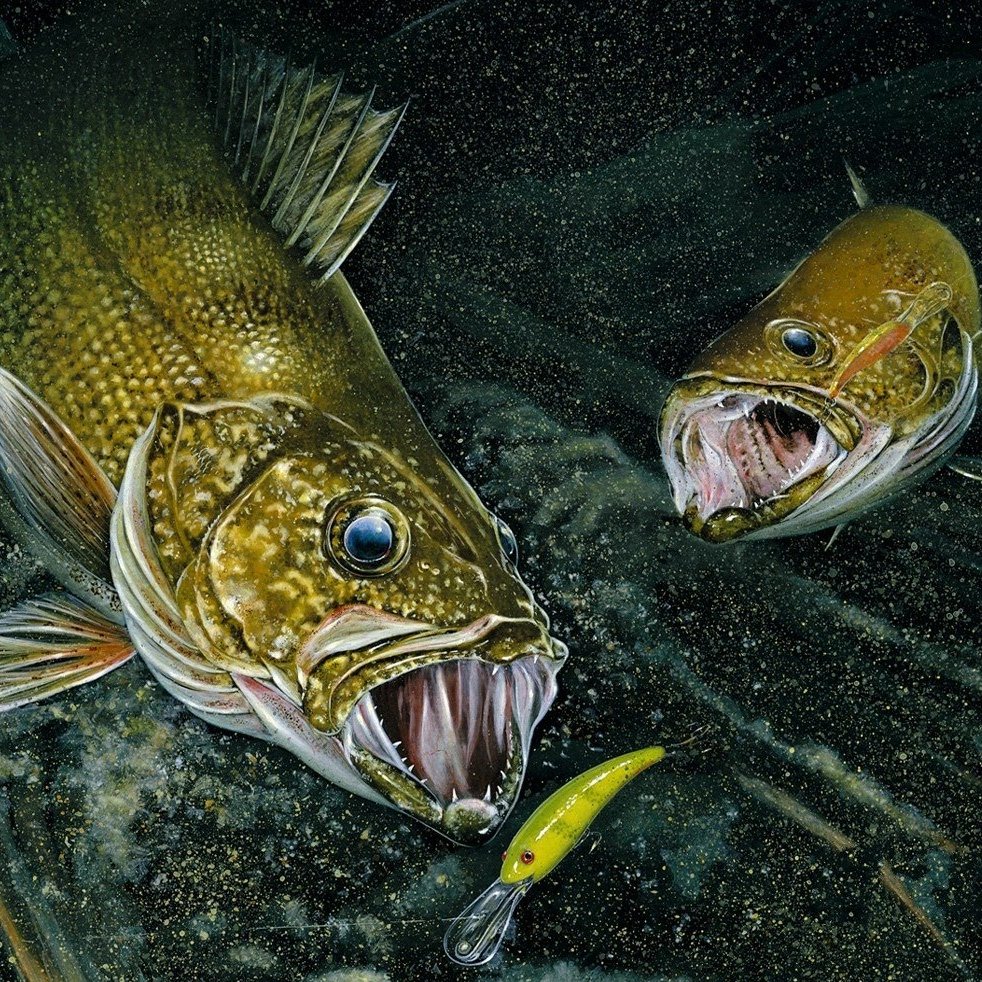 Рисунок малька рыбы