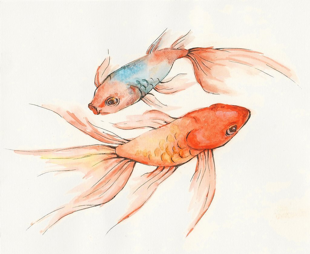 Рыба в воде мультяшная