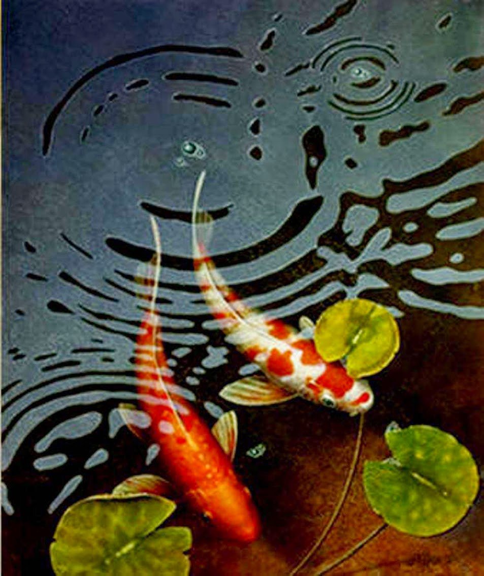 Лягушка и Стрекоза