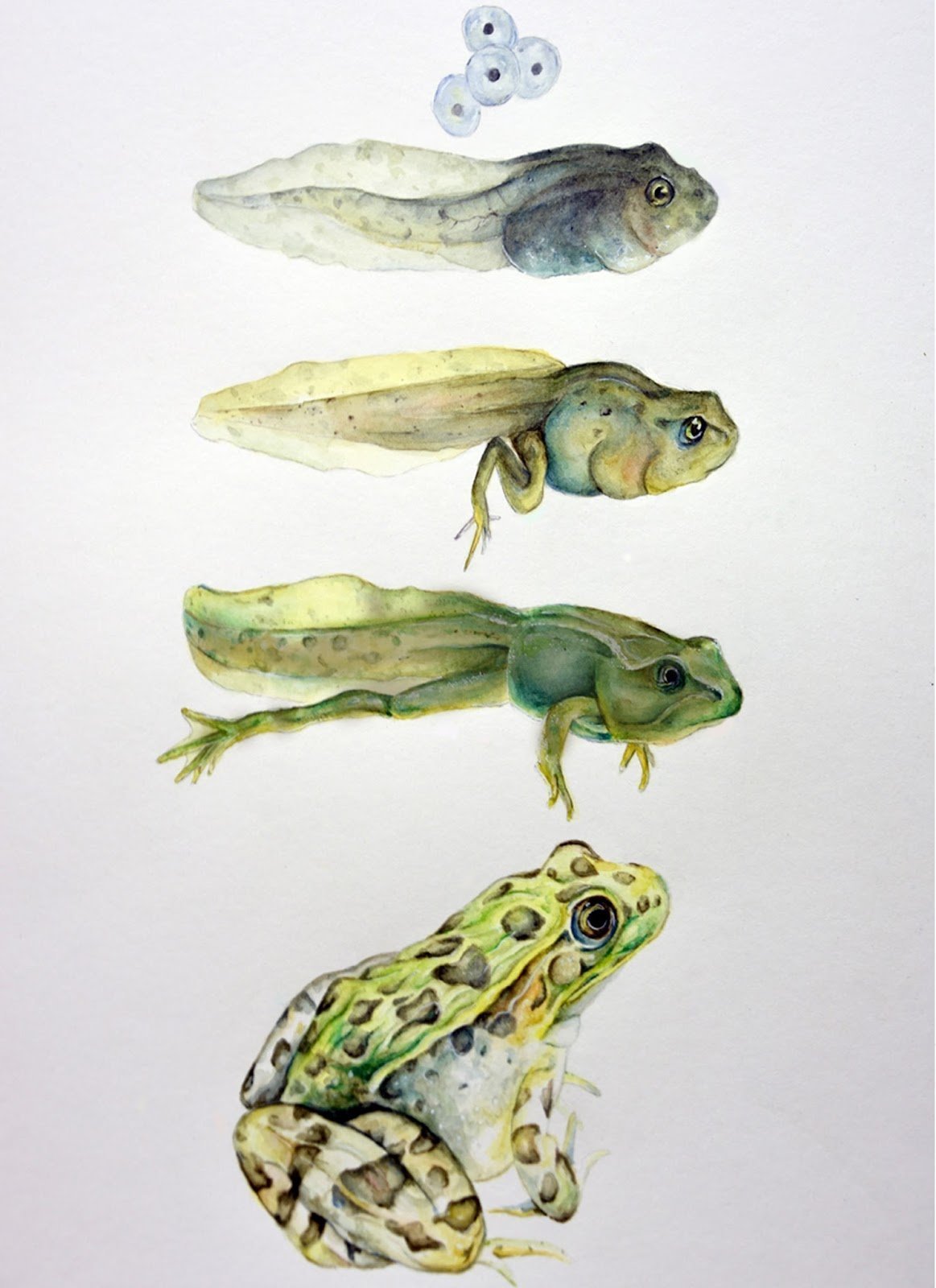 Морская тематика акварель