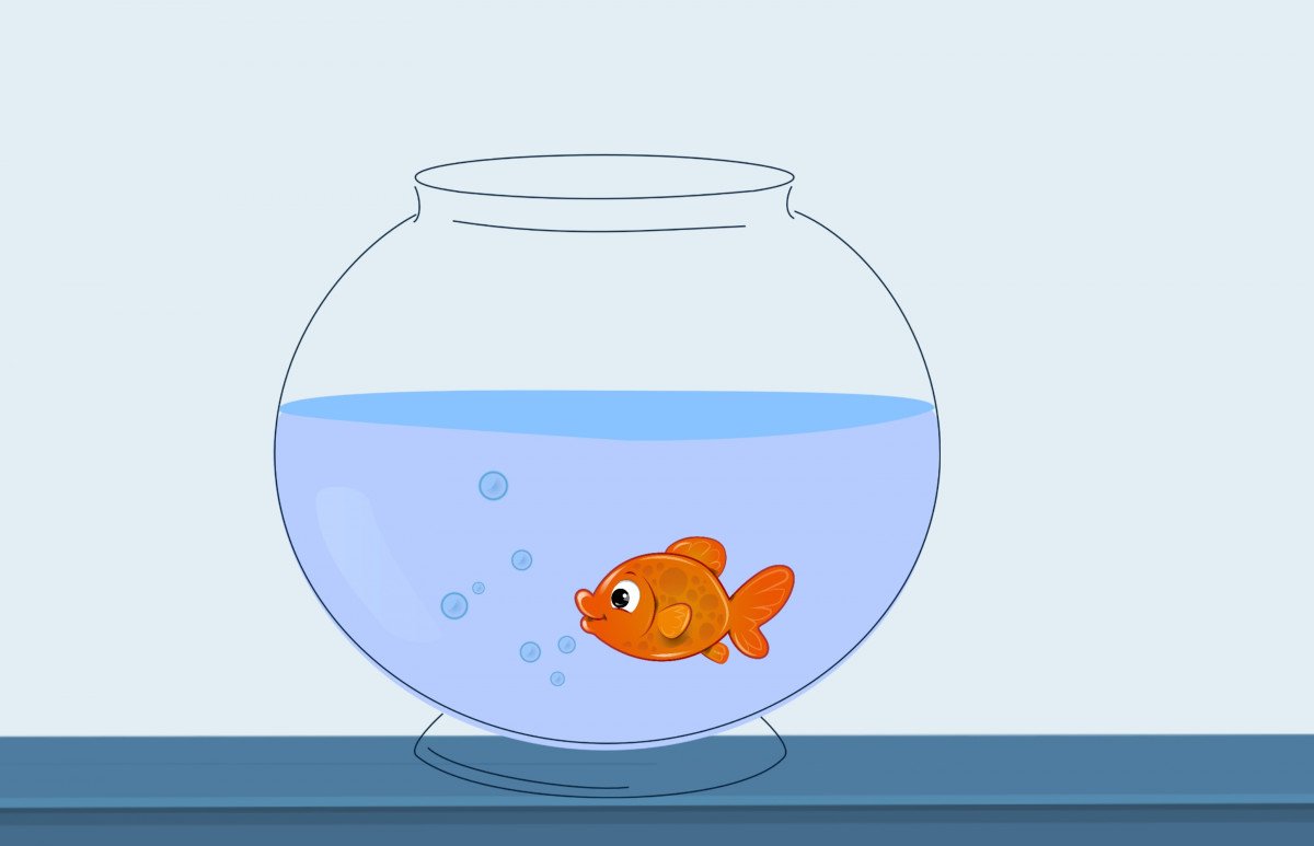 Маска золотой рыбки