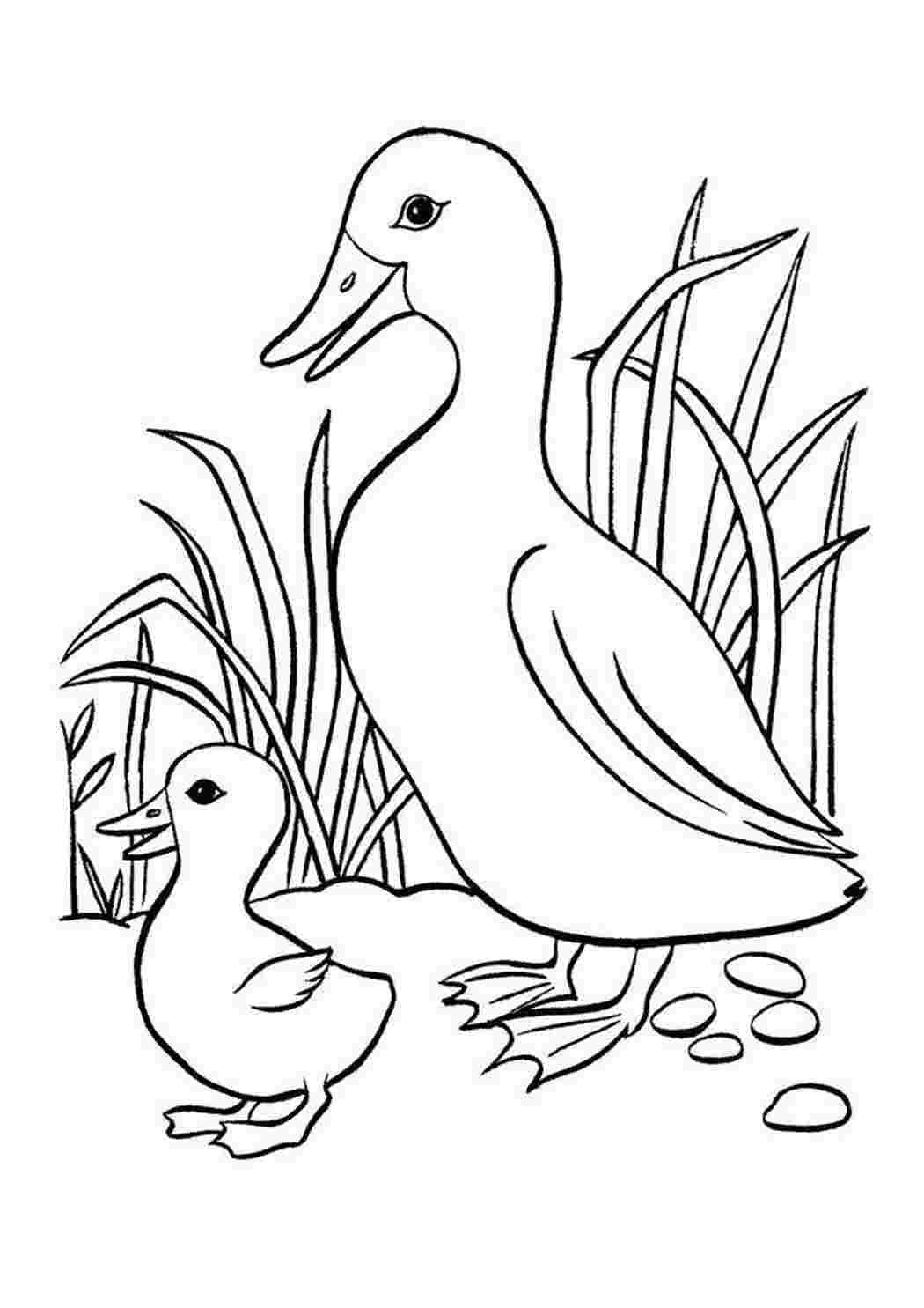 Пришвин изобретатель раскраска