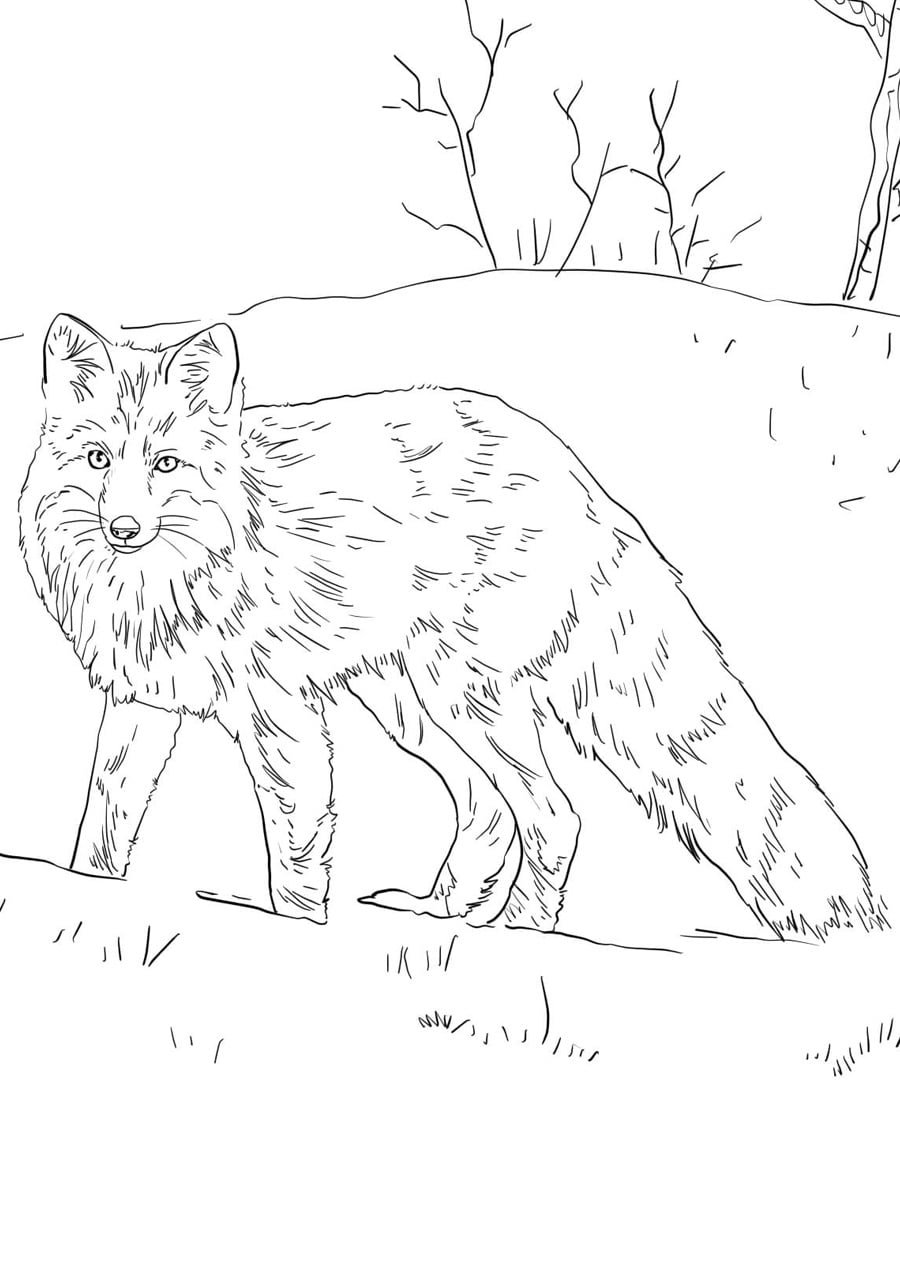 Иллюстрация к рассказу Барбос и Жулька