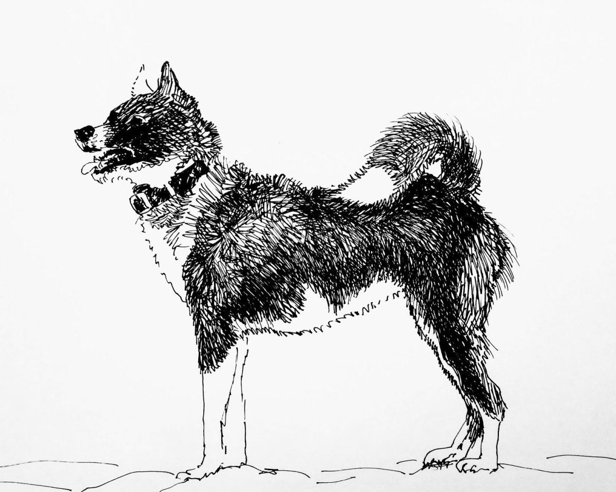 Кладовая солнца иллюстрации