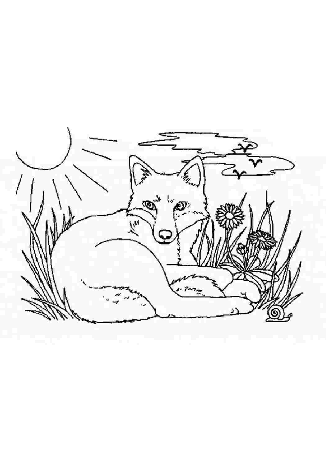 Паустовский кладовая солнца