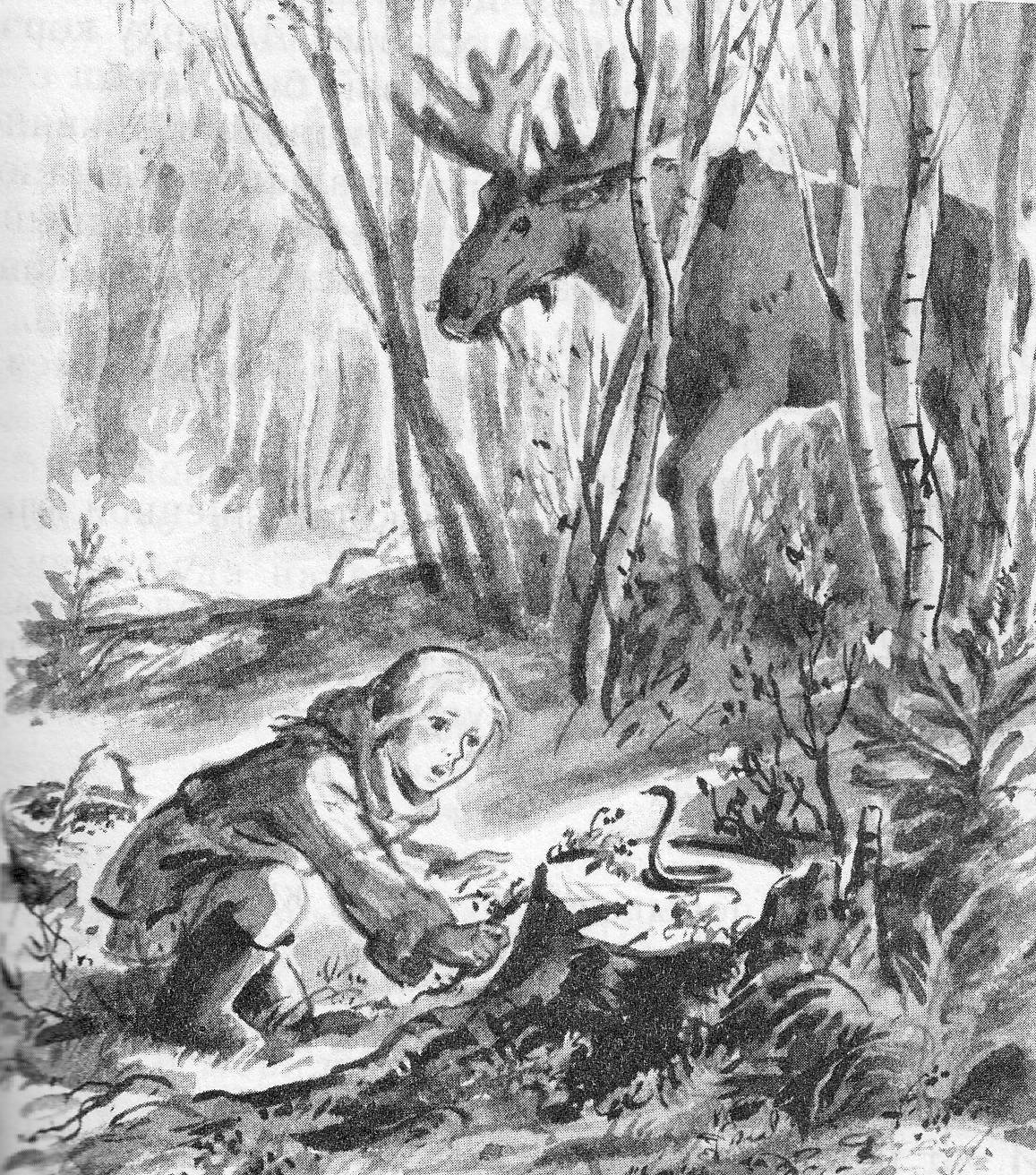 Грибник раскраска