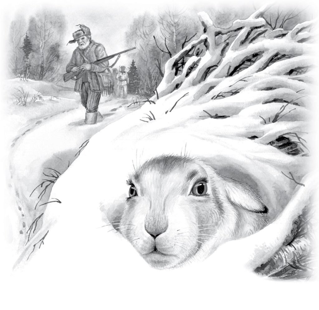 Паустовский дремучий медведь рисунки детей