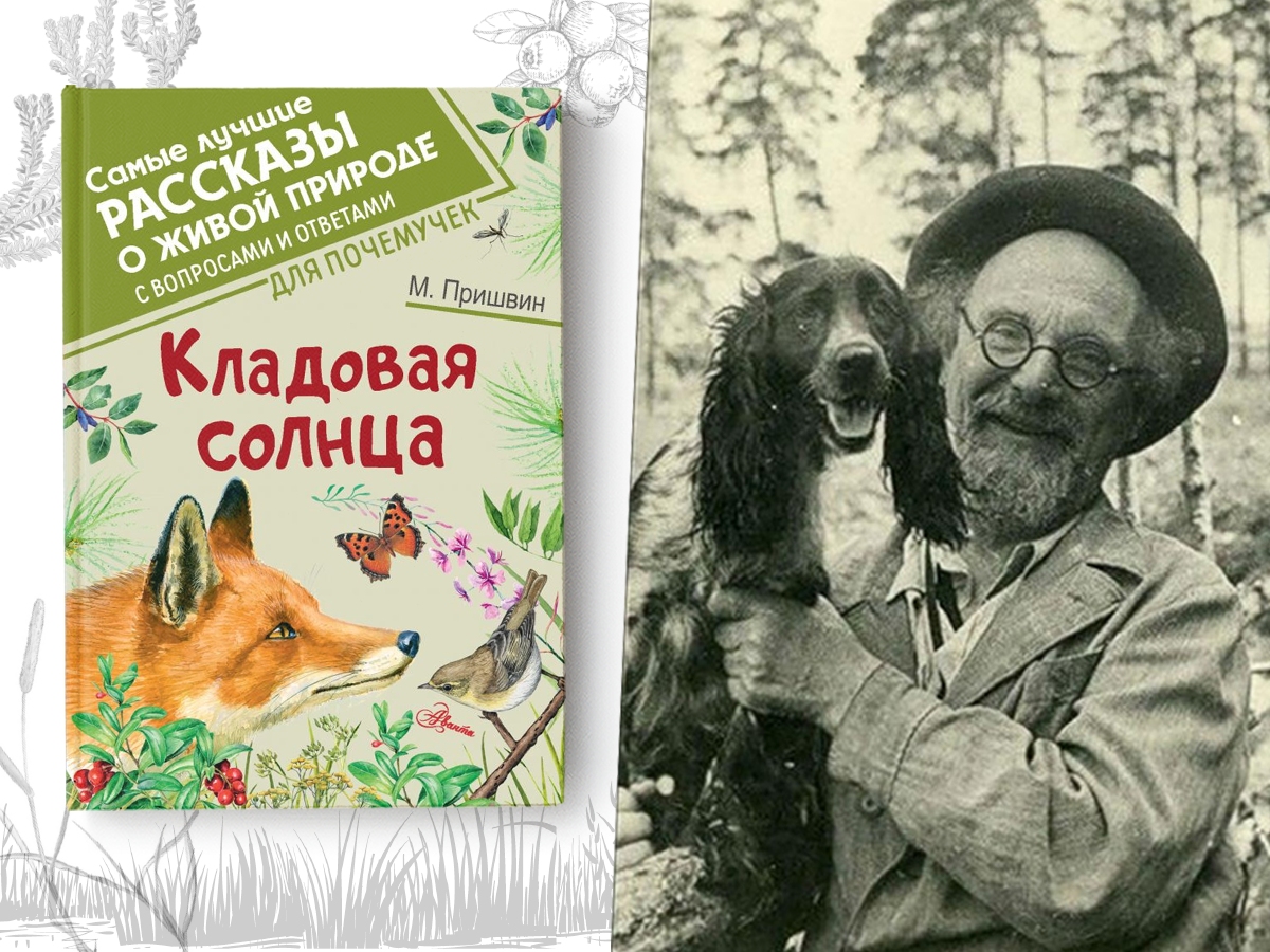 Серый журавль раскраска