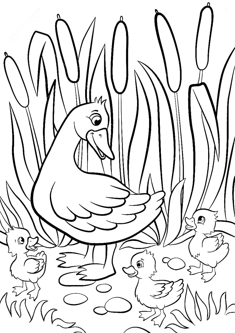 Природа родного края рисунки для срисовки