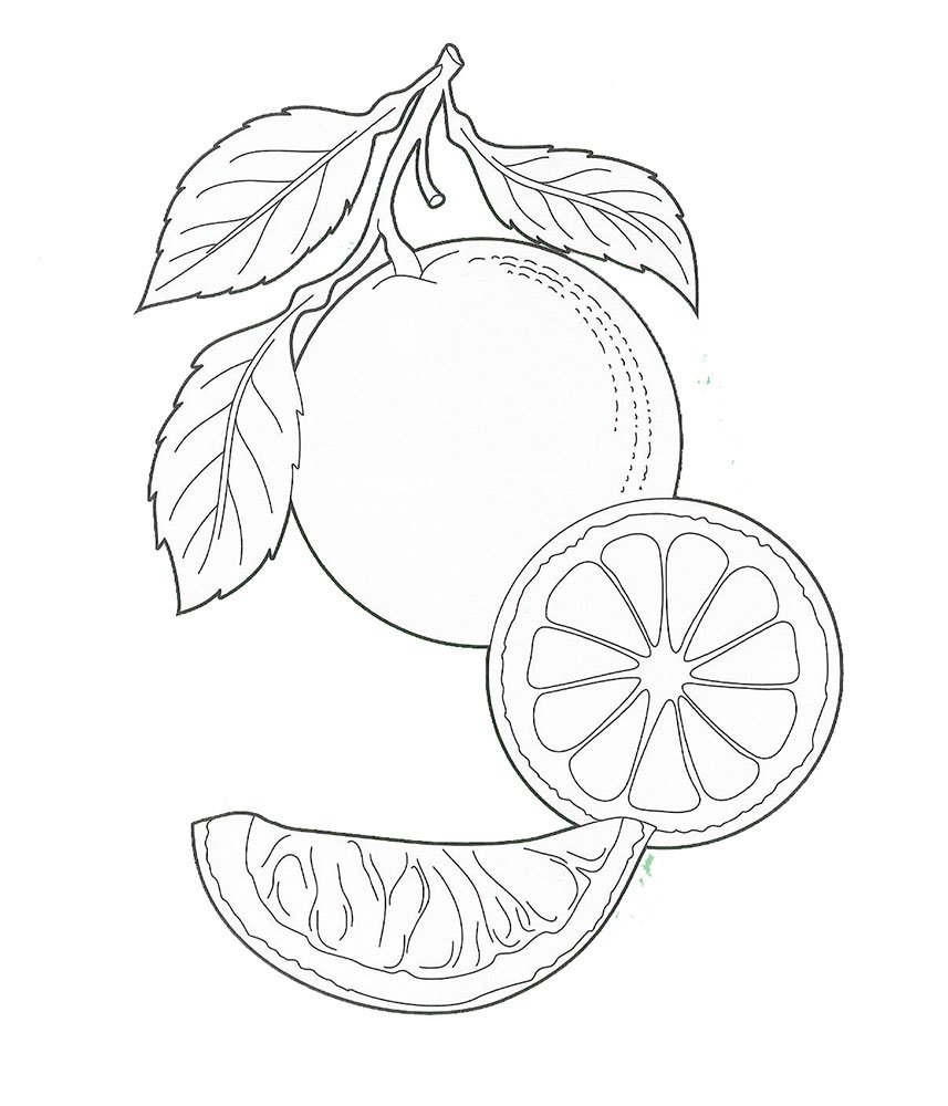 Апельсин раскраска для детей