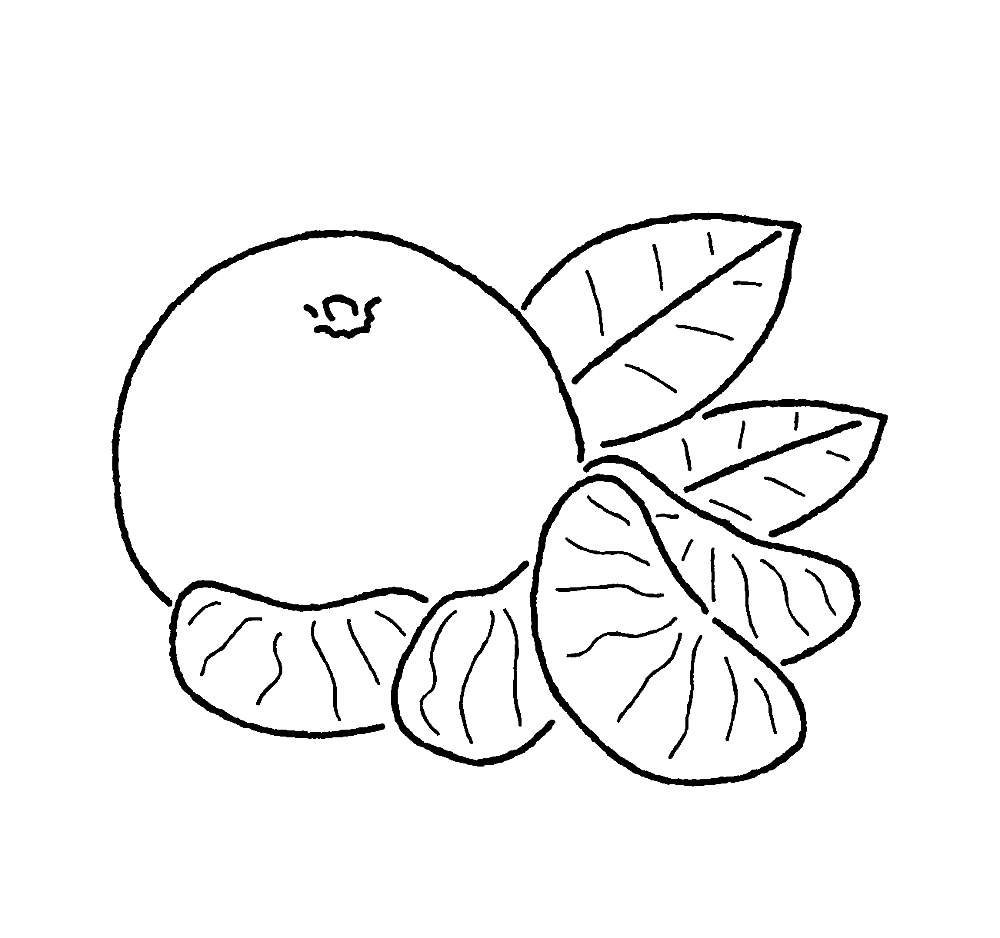 Апельсин раскраска для детей