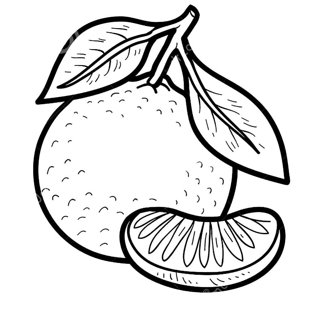 Мандарин раскраска