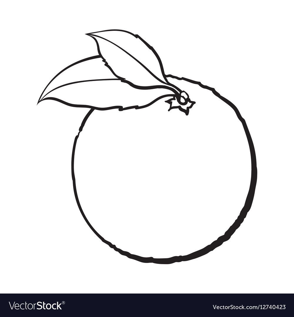 Апельсин раскраска для детей