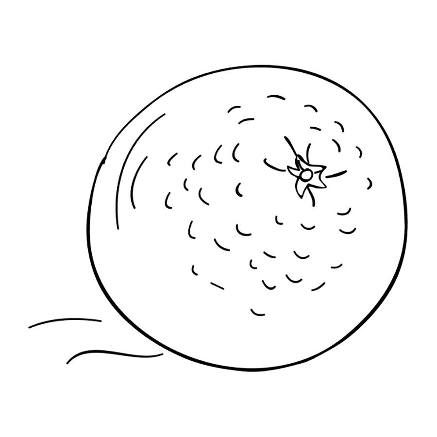 Апельсин раскраска для малышей