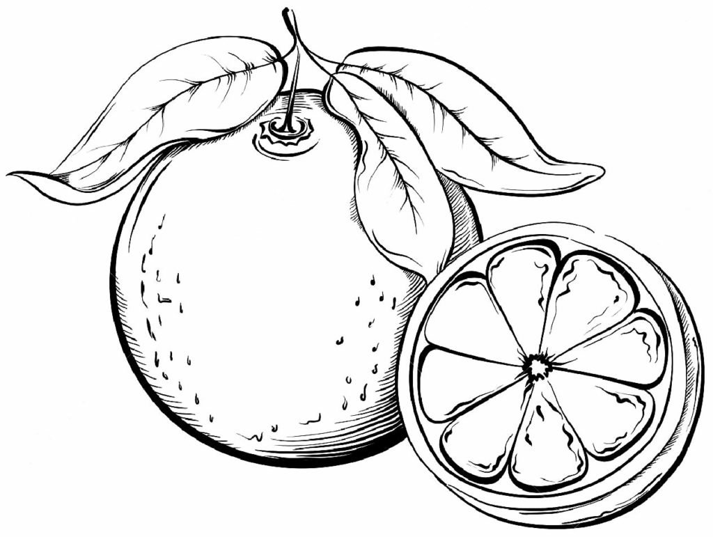 Контурный апельсин