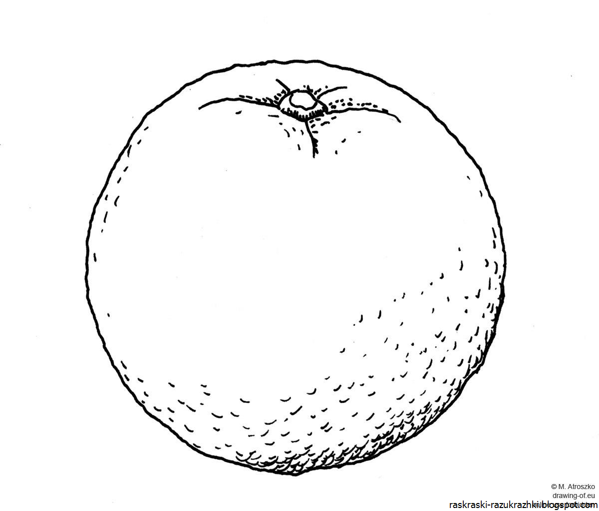 Раскраска фрукты апельсин