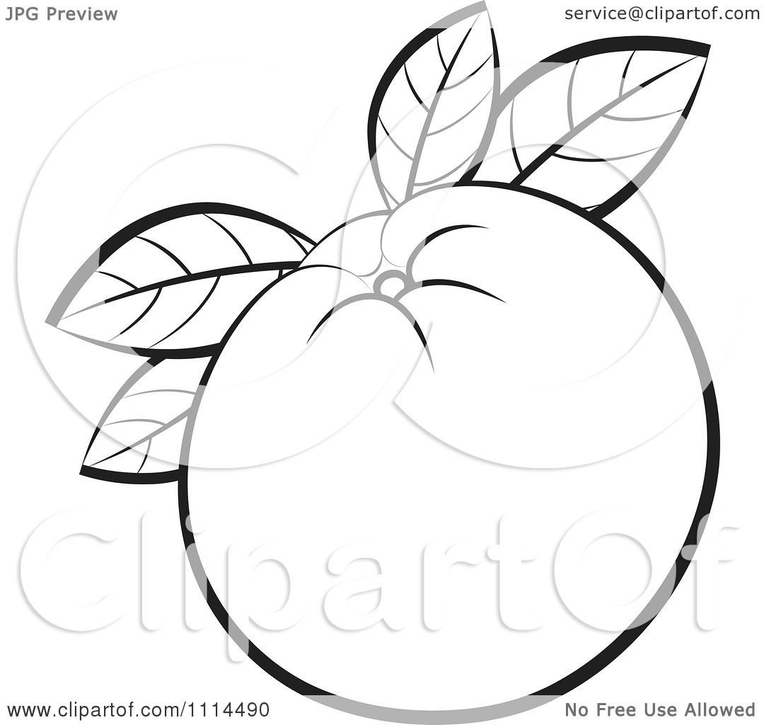 Апельсин очертание