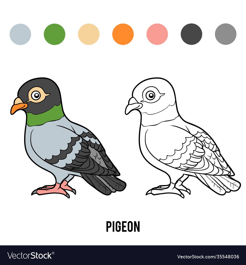 Каким цветом разукрасить голубя