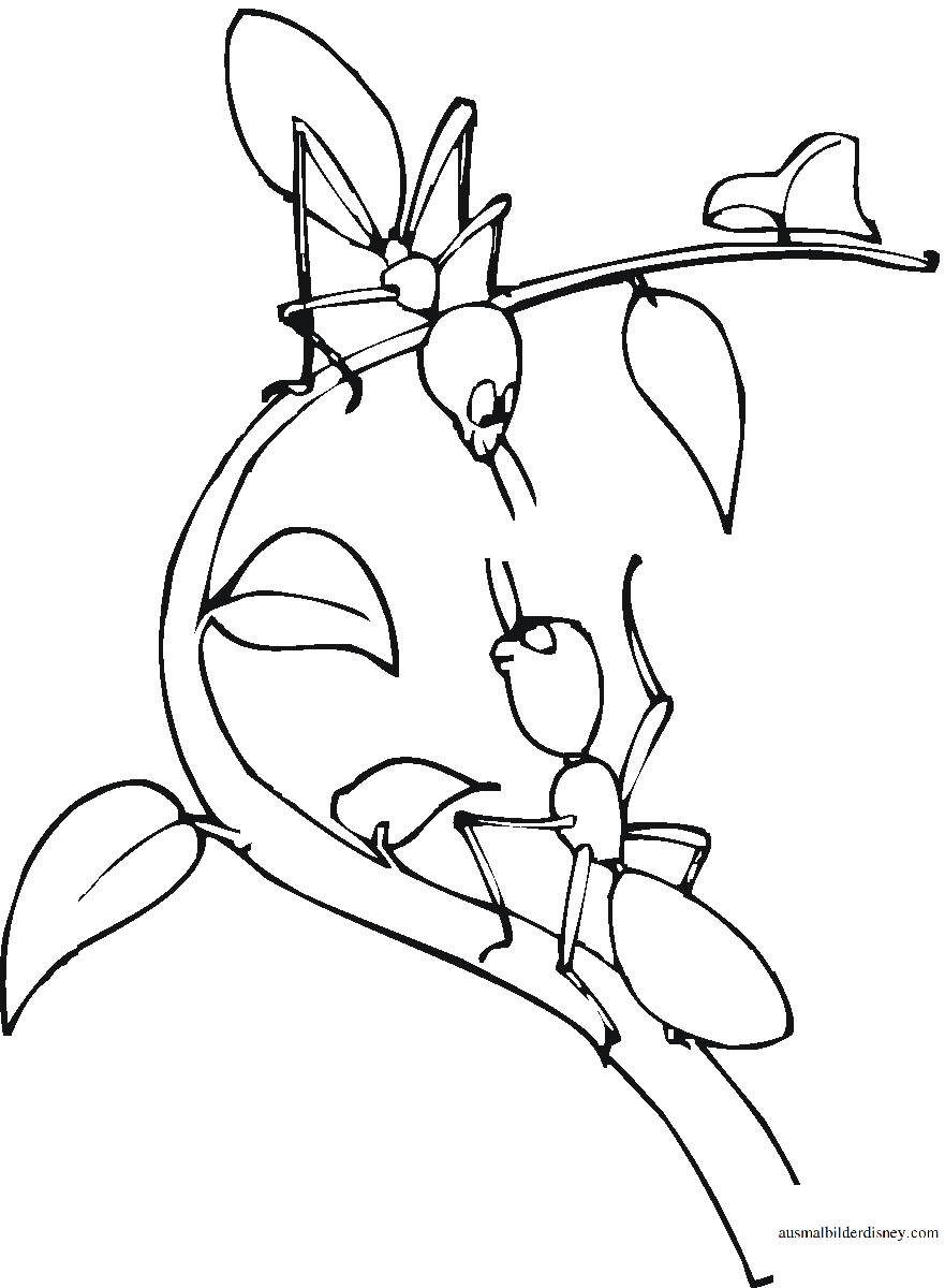 Муравей с веточкой раскраска для детей