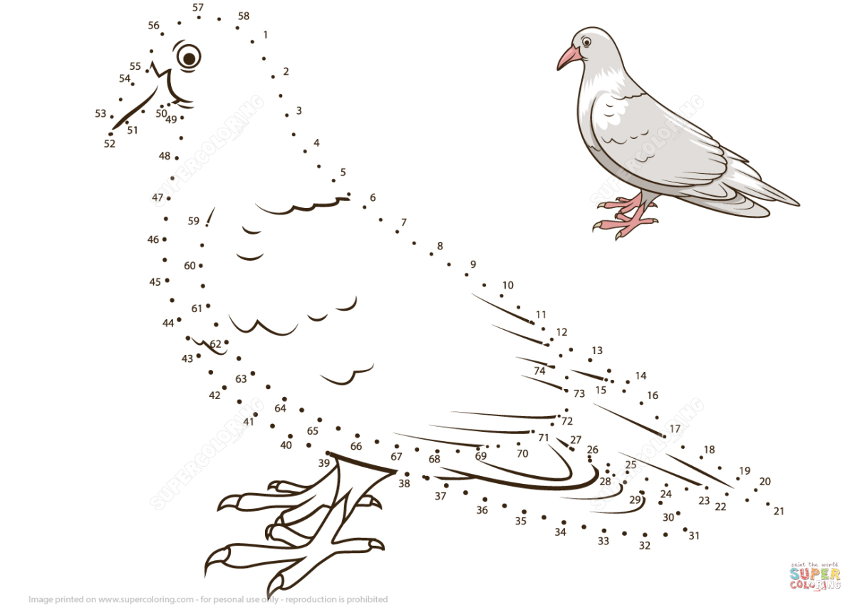 Рисование птиц по точкам