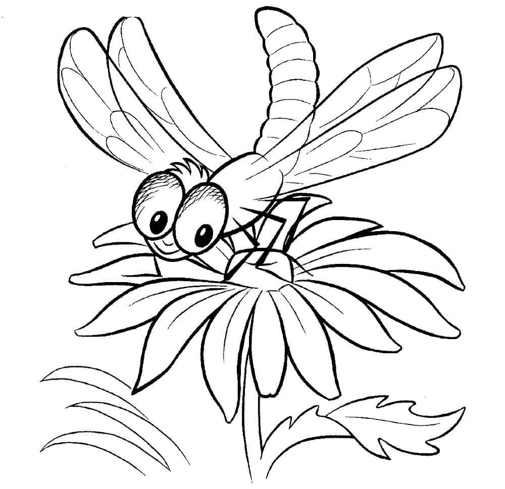 Стрекоза раскраска для детей