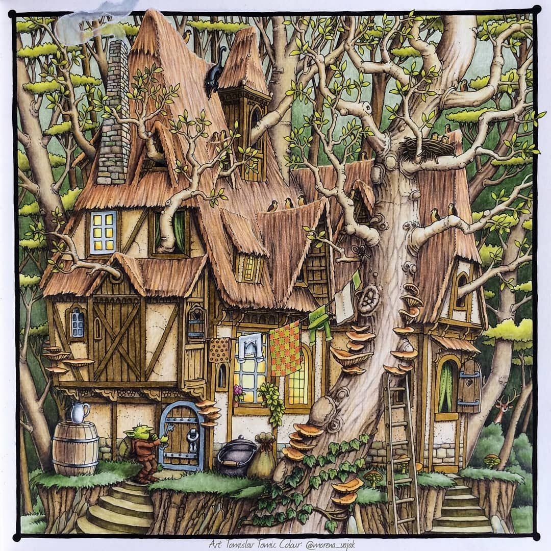 Dromenvanger Tomislav Tomic Томислав Томич