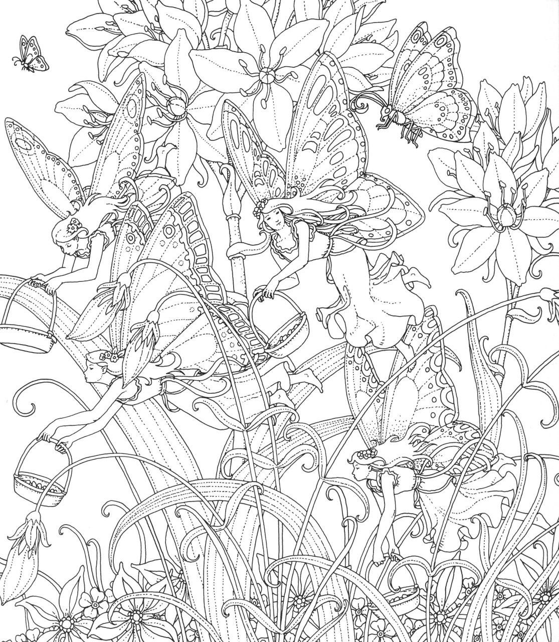 Томислав Томич раскраска zemlja snova