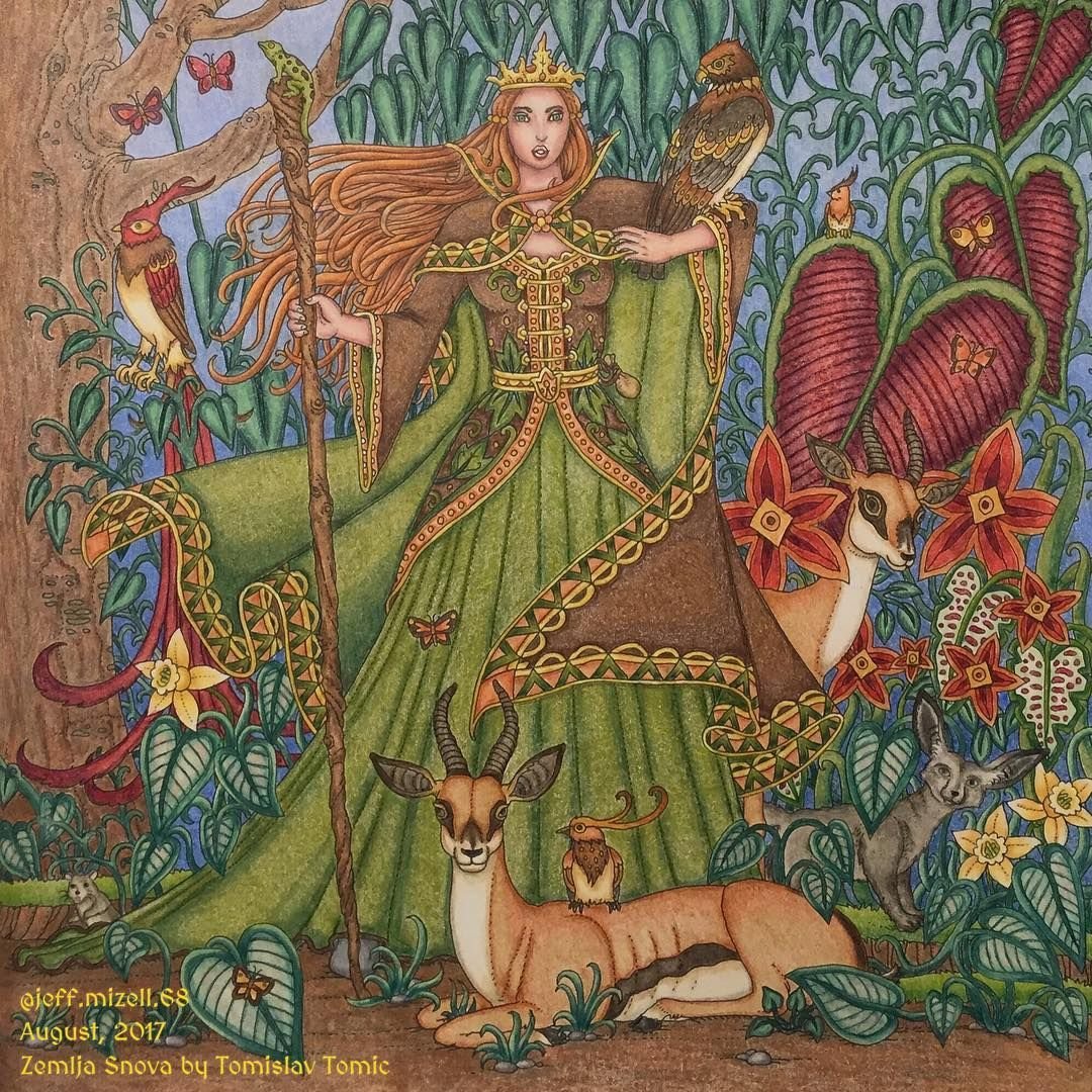 Томислав Томич иллюстратор