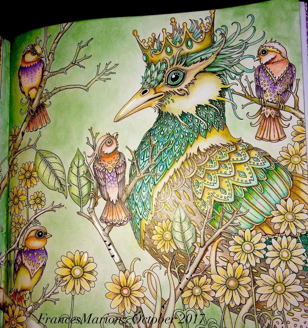 Томислав томич иллюстрации